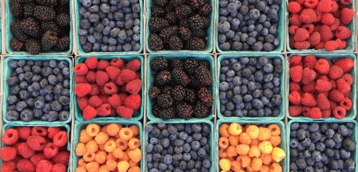 will-fqkrXYMosT4-unsplash